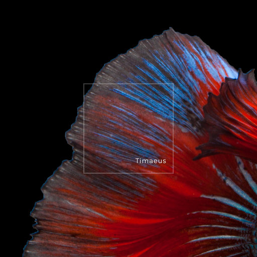 精品录音国产一区在线
